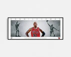 DENNIS RODMAN PANORAMIC COLLAGE PRINT SIGNED FRAMED WINGS