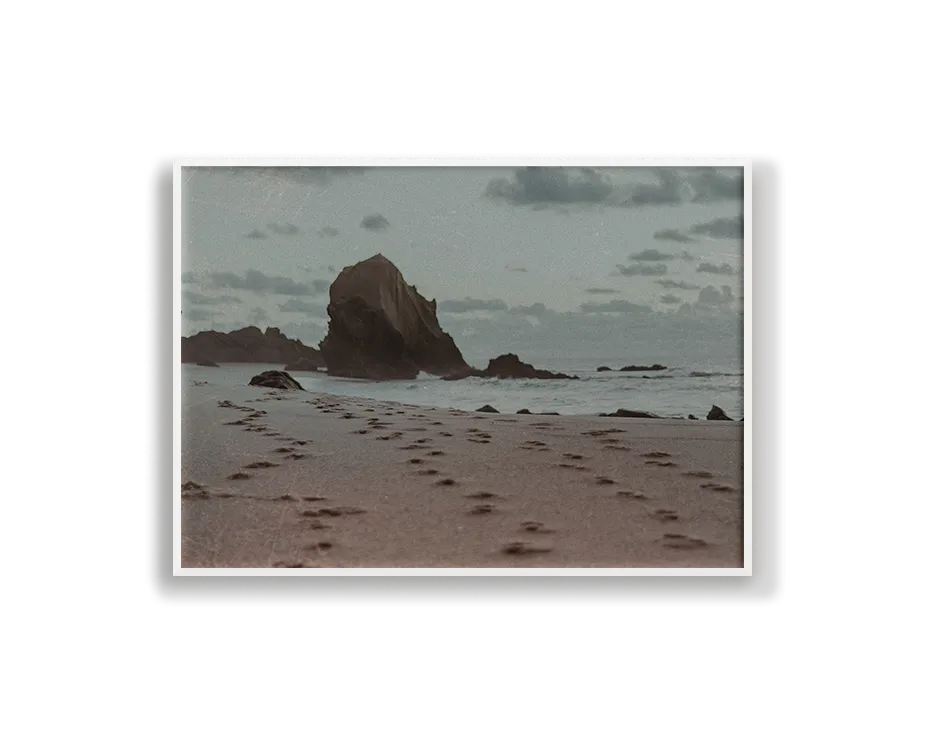 Film Series - One Rock